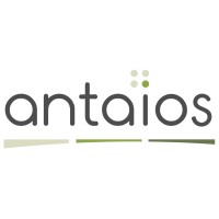 Antaios Logo