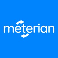 Meterian Logo