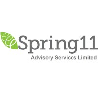 Spring11 Advisory Services Limited Logo
