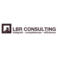 LBR CONSULTING Logo
