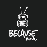 Because Music Logo