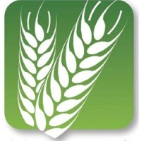 Harvest Time Church Logo