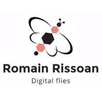 Romain Rissoan Freelance Consultant Logo