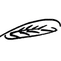 Evonovation Logo
