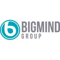 BigMind Group Logo