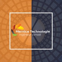 Mernice Technologie Logo
