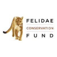Felidae Conservation Fund Logo