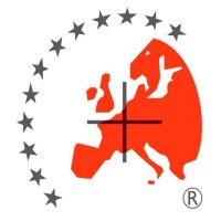 HESTOCON Engineering & homologation Logo