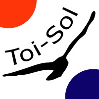 TOI-SOL Logo