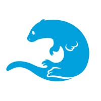 Primo Logo
