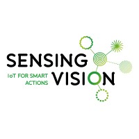 Sensing Vision Logo