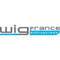 WIG France Entreprises Logo