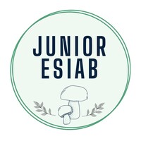 JUNIOR ESIAB Logo