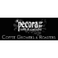 Pecora 19 09 S.P.R. de R.L. Logo