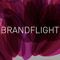 Brandflight Logo