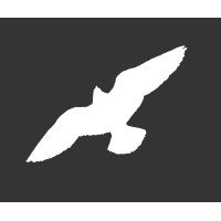 Falcon-AV Ltd Logo