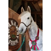 Aranaway Farm Logo