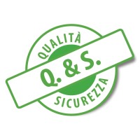 Qualità e Sicurezza s.r.l. Logo