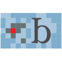 Brett S. Brody Consulting, LLC Logo