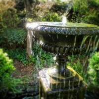 West Park Gardens Logo