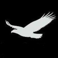Silverhawk Consultancy Services Ltd Logo