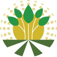 RT Graos Logo