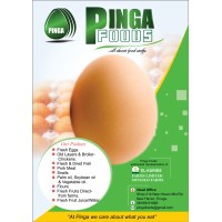 PINGA Foods Enterprises Logo