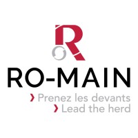 Ro-Main Logo