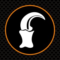 Raptor International Limited Logo