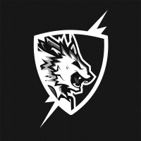 Flash Point Esports Logo
