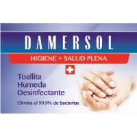 DAMERSOL S.A. Logo