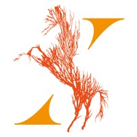 Xanadu Luxury Group Logo