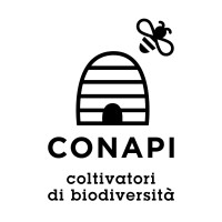 Conapi Logo