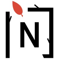 NTree International Ltd. Logo