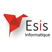 ESIS Informatique Logo