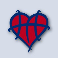 Ball 4 a Cure, Inc. Logo
