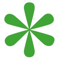 First Intuition South Logo