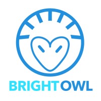 Bright Owl Digital Logo