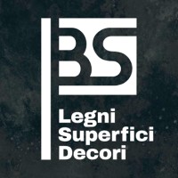 BS SRL Logo