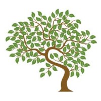 Instituto Esmindfulness Logo