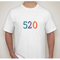 520 Logo