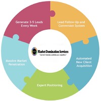 Market Domination Services, LLC Logo