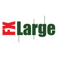 FX Large Limited Logo