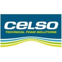 Celso Logo