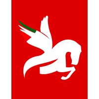 CADOPPI & PEGASUS Logo