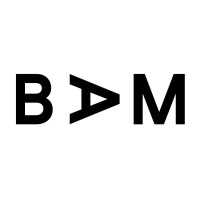 BAM Consultancy Logo
