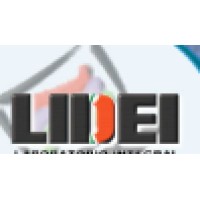 Lidei Logo