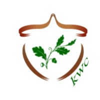 kor wellness consulting Logo