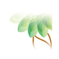 Banyan Tree Marketing & Consulting Logo