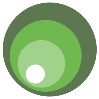 Chameleon Creative Works Logo
